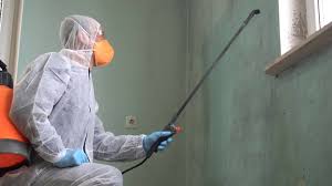 Why You Should Choose Our Mold Remediation Services in Winona, MS